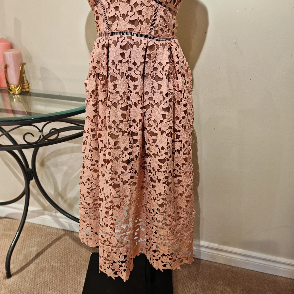 Self-Portrait Blush Pink Lace Midi Dress - Picture 12 of 16